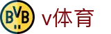 v体育（V SPORTS)官方网站 - 网页版登录入口